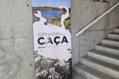IMG-20250414-WA0011