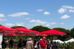 MUNDO_STANDS-24